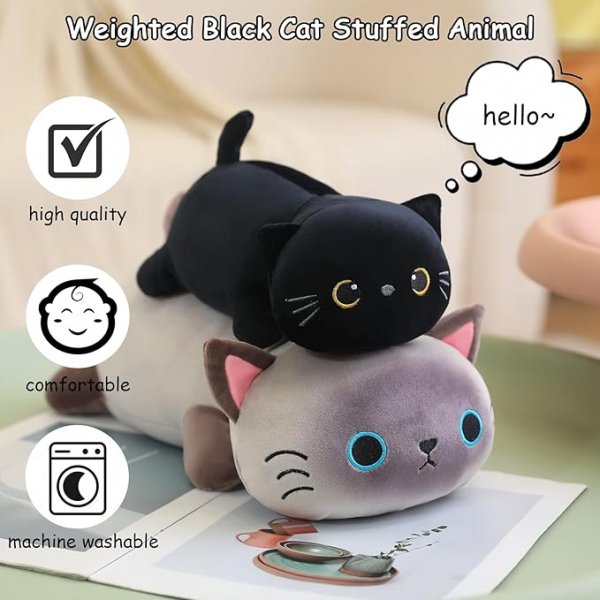 Black Cat