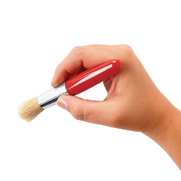 Stubby Chubby Brushes